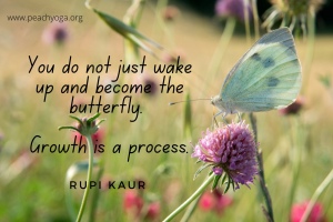 "You do not just wake up and become the butterfly. Growth is a process." - Rupi Kaur